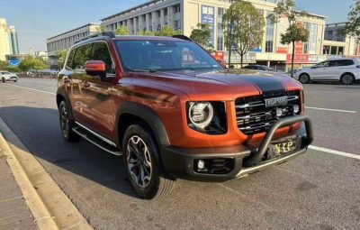 Haval Big Dog 2.0T 4WD Chinese Rural Dog Edition 2021