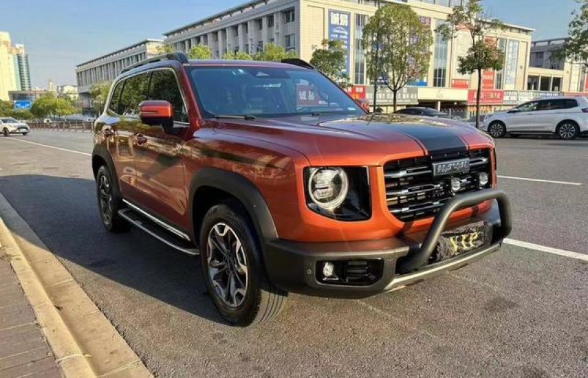 Haval Big Dog 2.0T 4WD Chinese Rural Dog Edition 2021