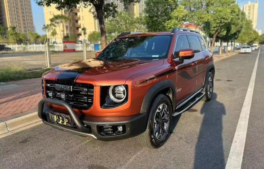 Haval Big Dog 2.0T 4WD Chinese Rural Dog Edition 2021